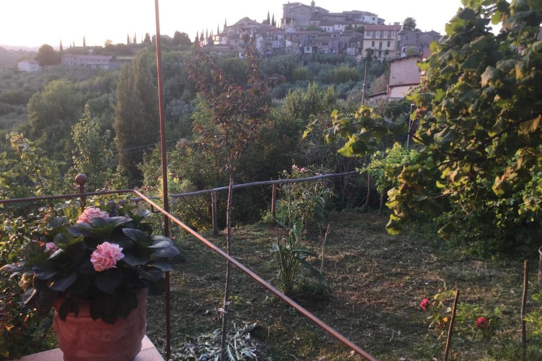 Photo of Others in Torricella in Sabina