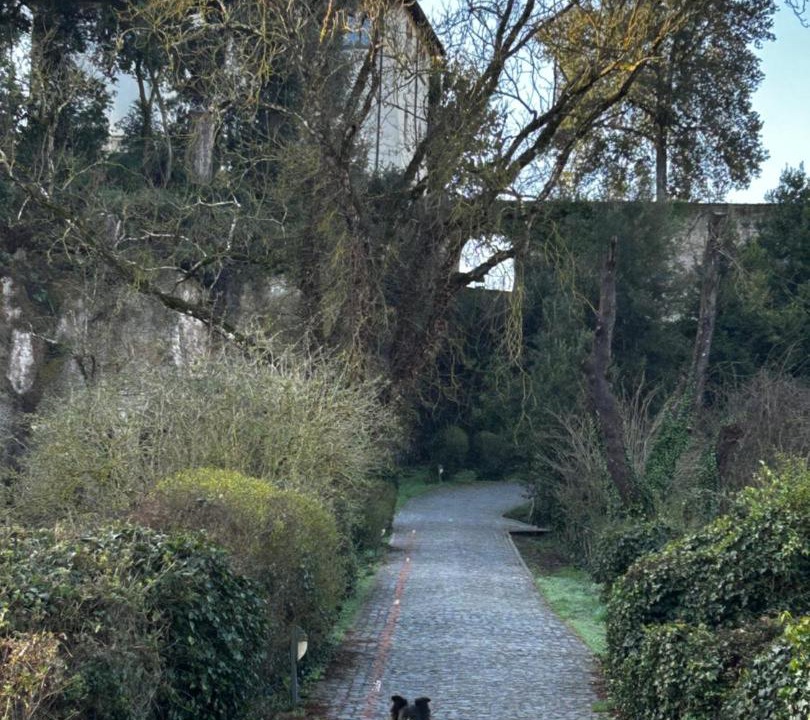 Photo of Others in Sutri