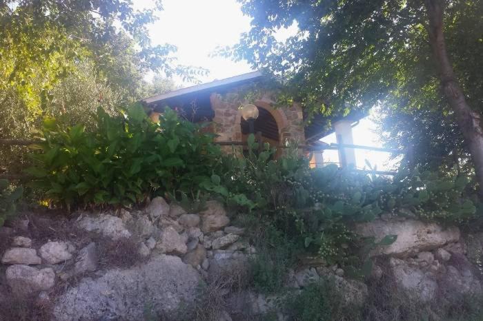 Photo of Others in Manciano