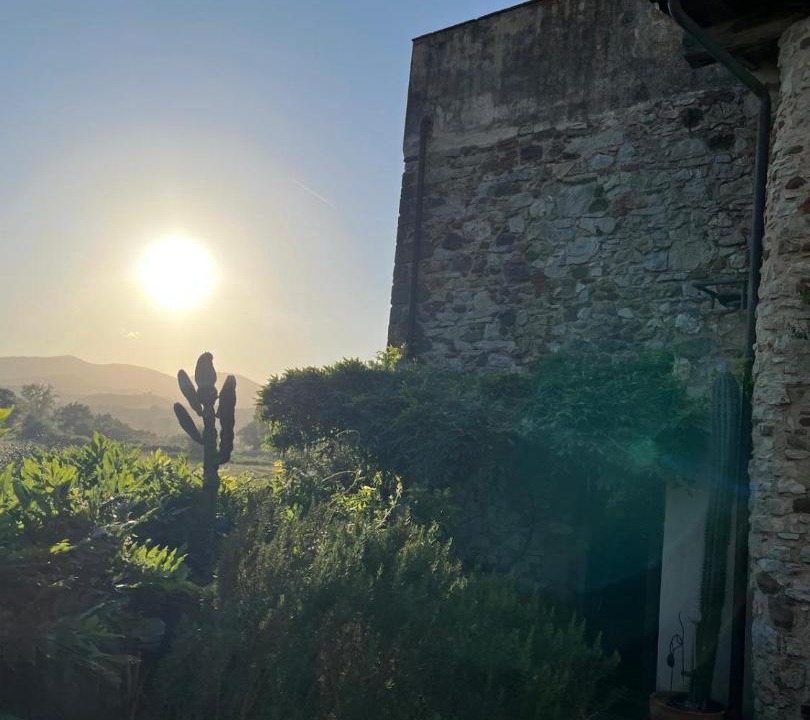 Photo of Others in Castiglione della Pescaia