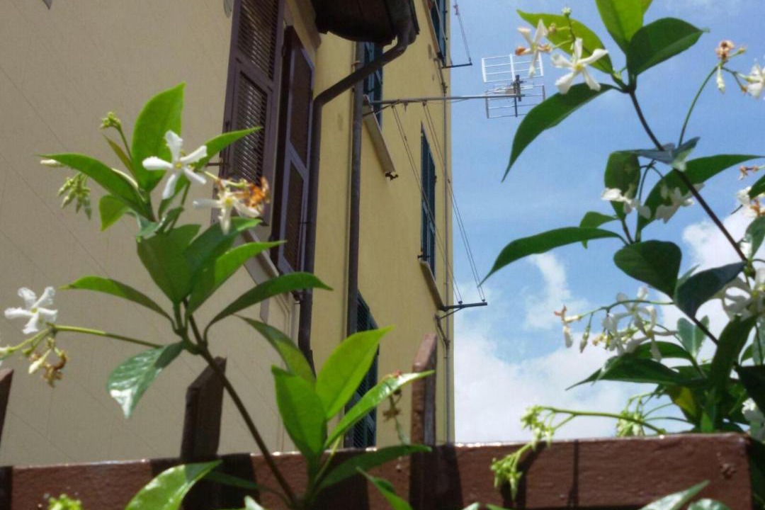 Photo of Others in La Spezia