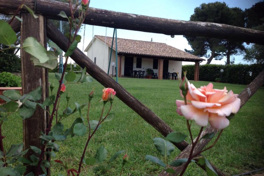 Photo of Others in Montalto di Castro
