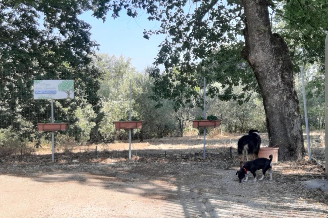 Photo of Others in Morlupo