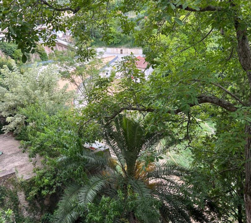 Photo of Others in Torri in Sabina