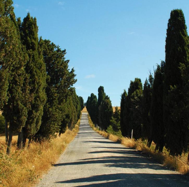 Photo of Others in Volterra