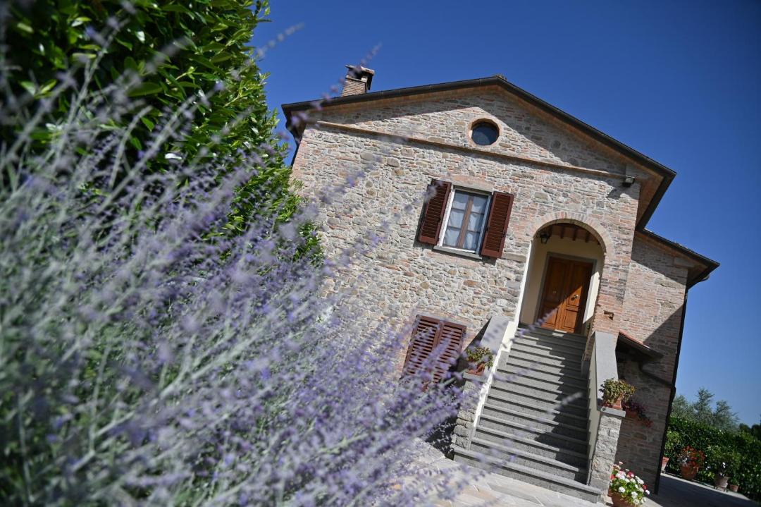 Photo of Others in San Giustino