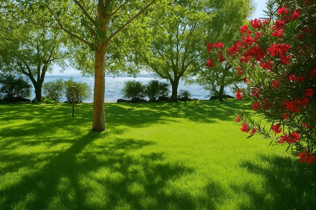 Photo of Others in Lake Bracciano