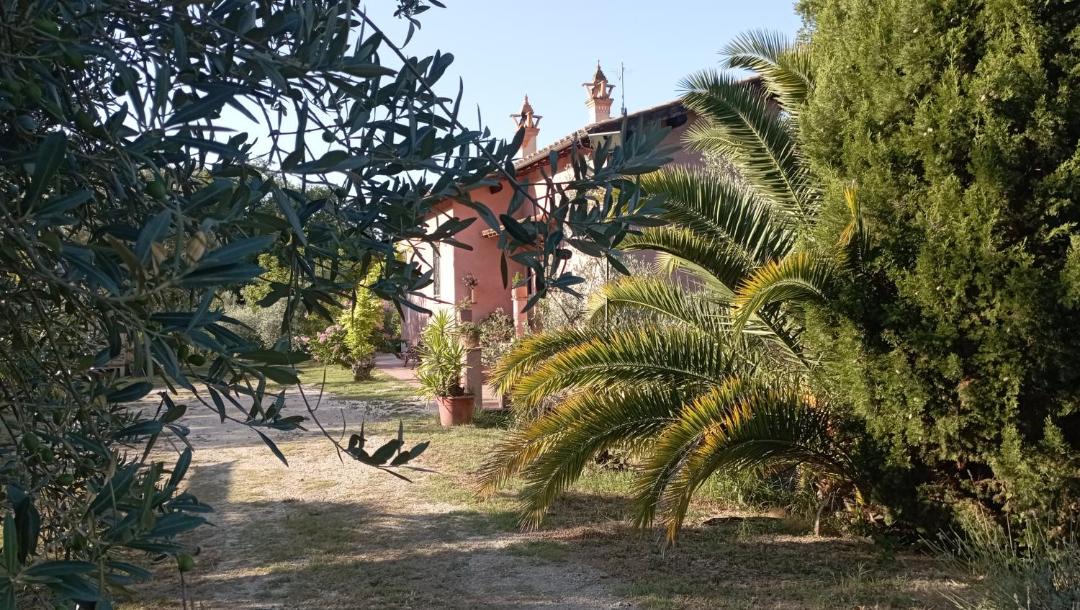 Photo of Others in Torri in Sabina
