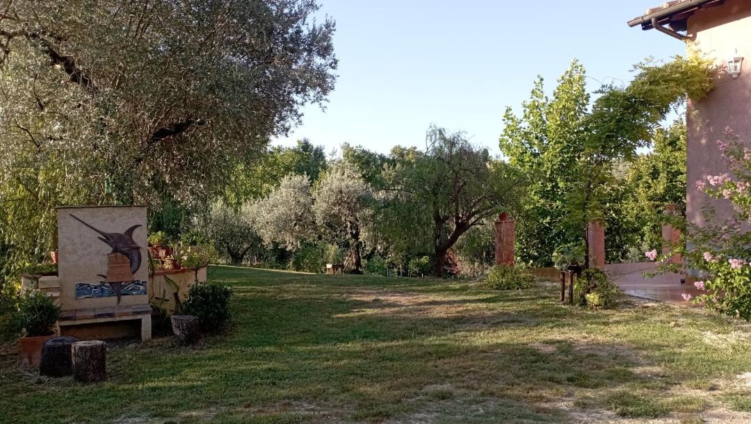 Photo of Others in Torri in Sabina