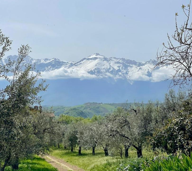 Photo of Others in Montorio al Vomano