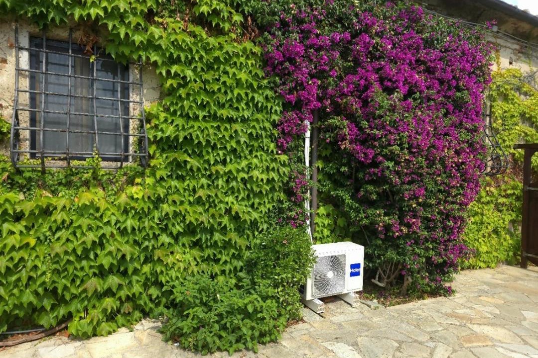 Photo of Others in Castiglione della Pescaia