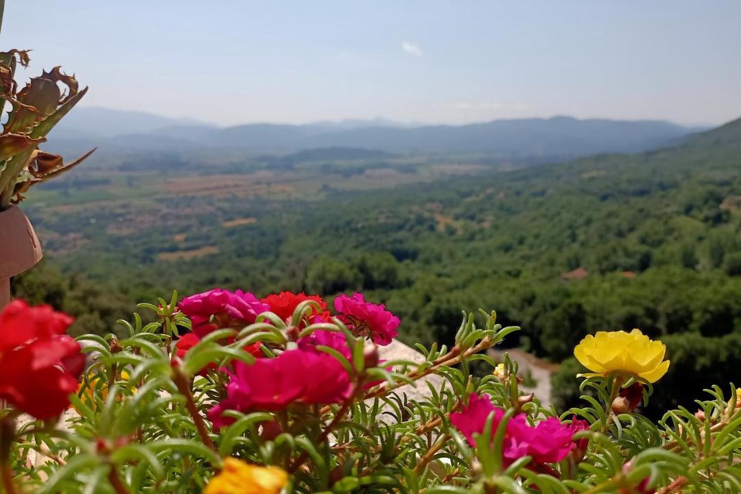 Photo of Others in Rieti