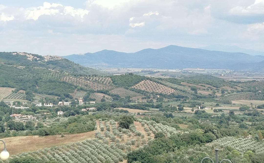 Photo of Others in Caldana