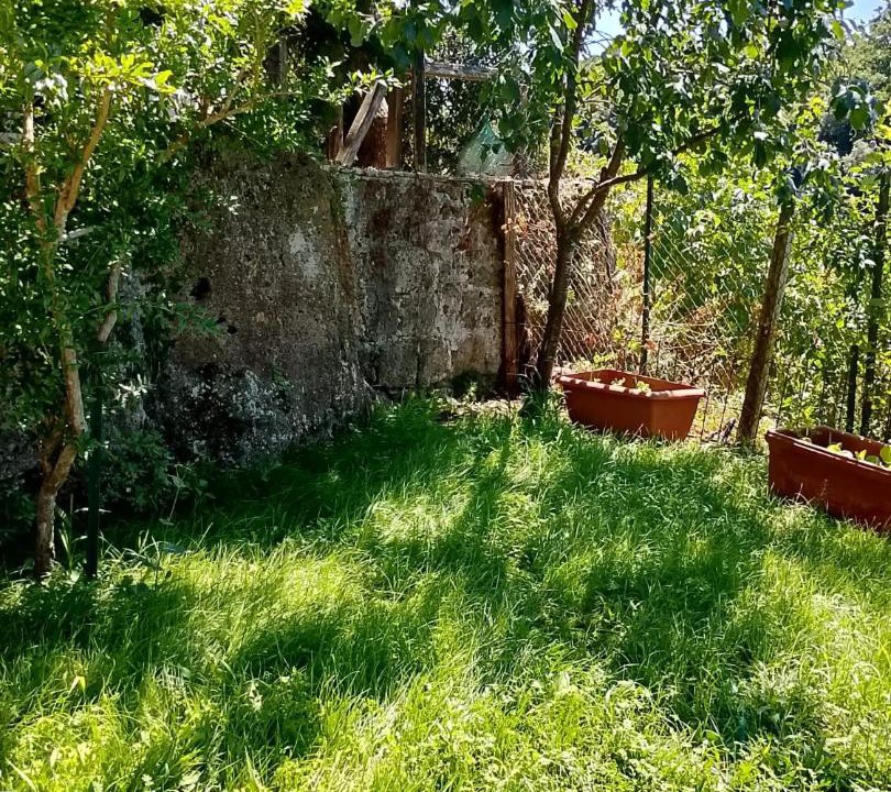 Photo of Others in Barbarano Romano