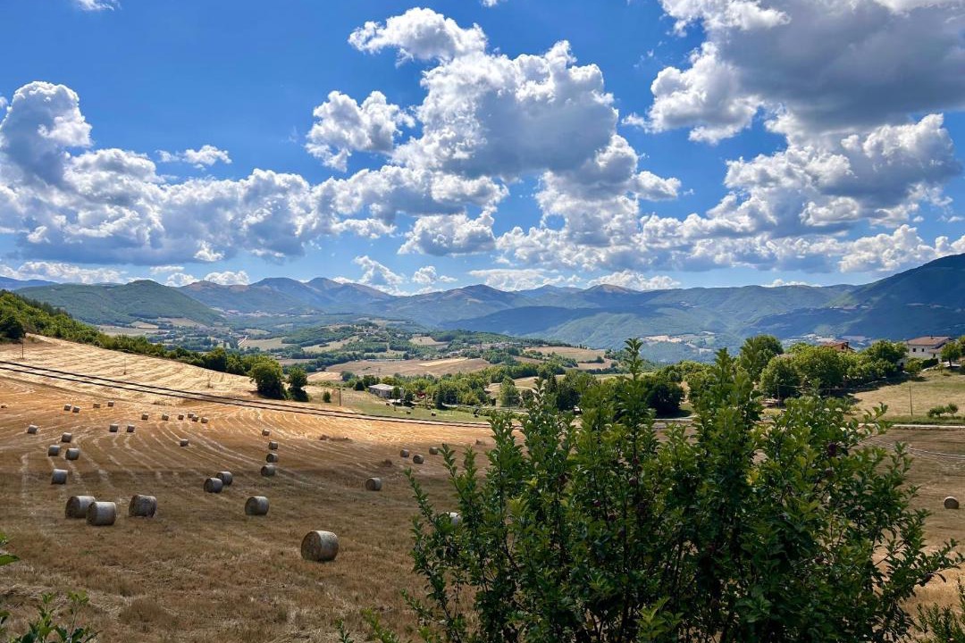 Photo of Others in Serravalle