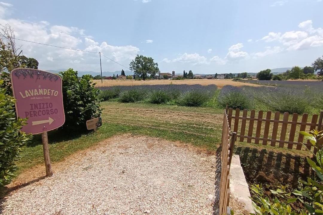 Photo of Others in Montefalco