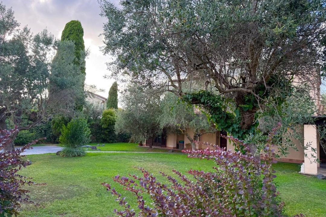 Photo of Others in Lake Bracciano