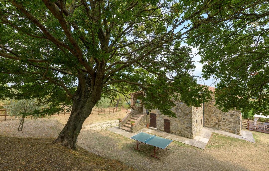 Photo of Others in Castelnuovo di Val di Cecina