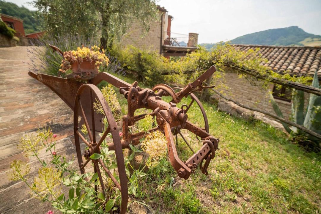 Photo of Others in Monte San Martino