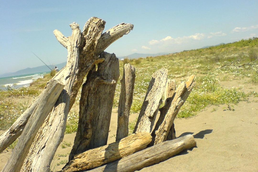 Photo of Others in Principina a Mare