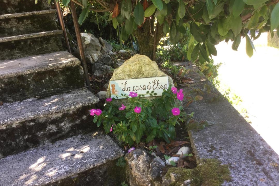 Photo of Others in Torricella in Sabina