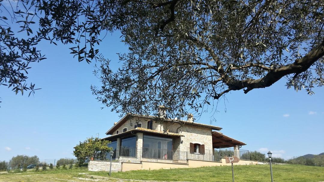Photo of Others in Cerveteri