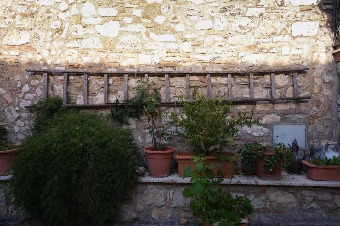 Photo of Others in Montecchio