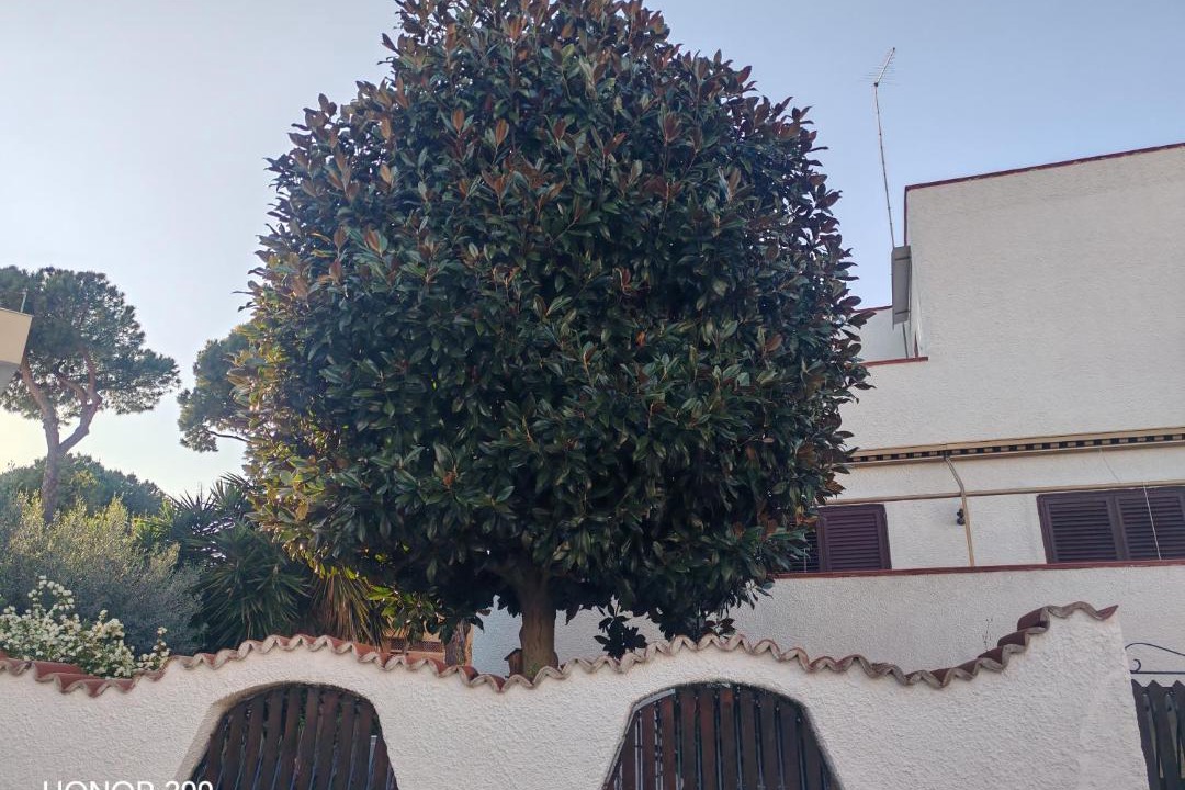 Photo of Others in Santa Marinella