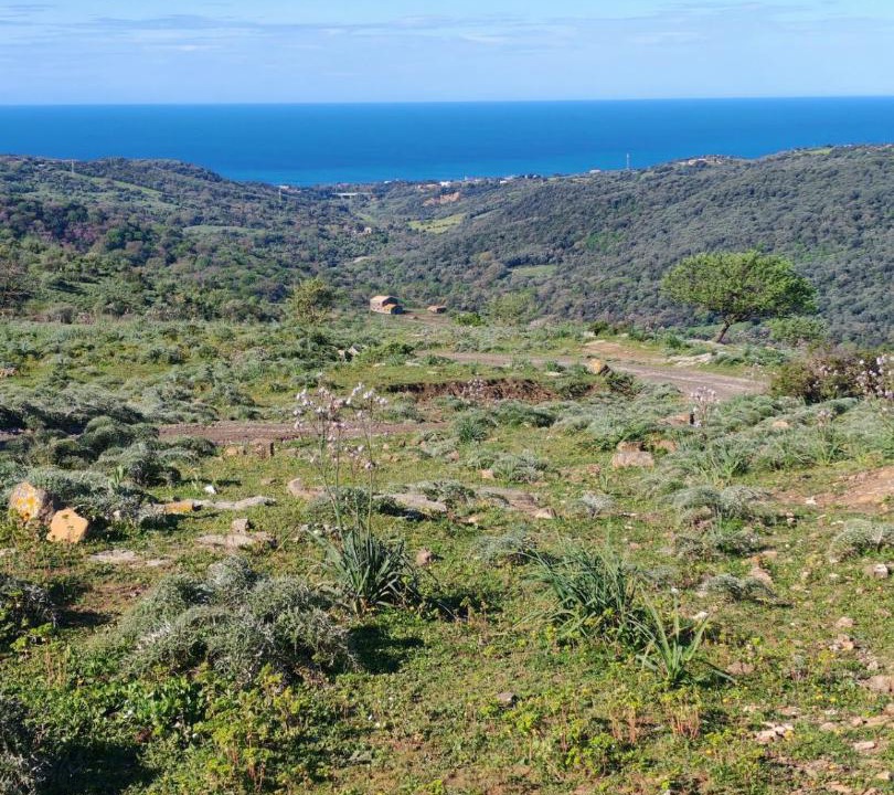 Photo of Others in Santa Marinella