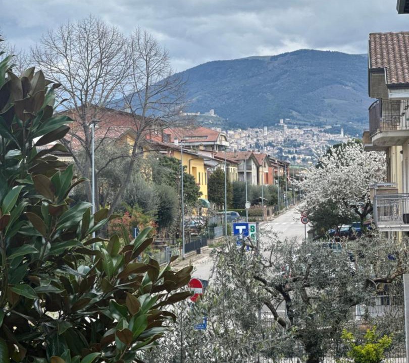 Photo of Others in Bastia Umbra