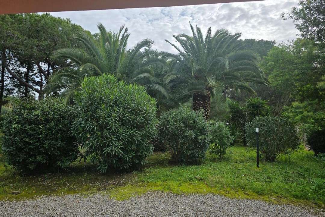 Photo of Others in Lido di Capoliveri