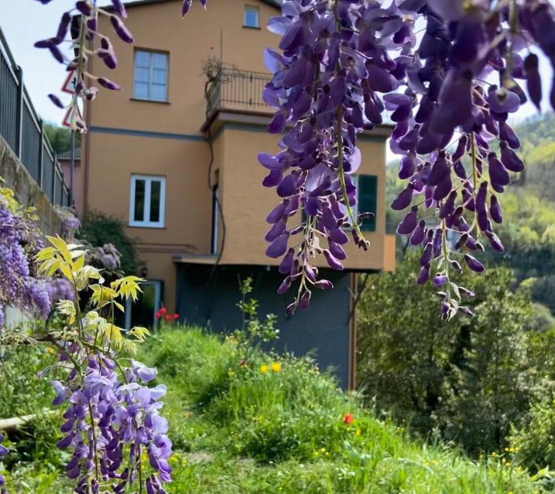 Photo of Others in Mezzanego
