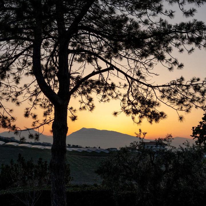 Photo of Others in Alba Adriatica
