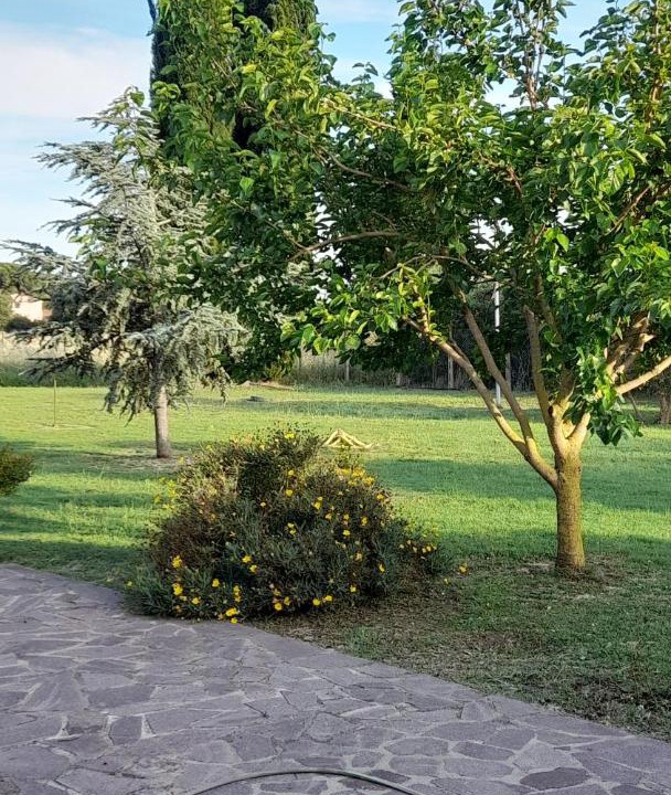 Photo of Outdoor in Tuscania
