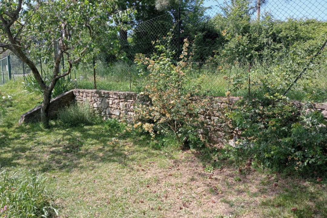 Photo of Others in Castelnuovo di Val di Cecina