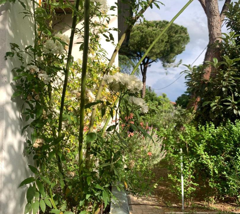Photo of Others in Santarcangelo di Romagna