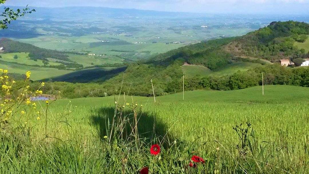 Photo of Others in Volterra