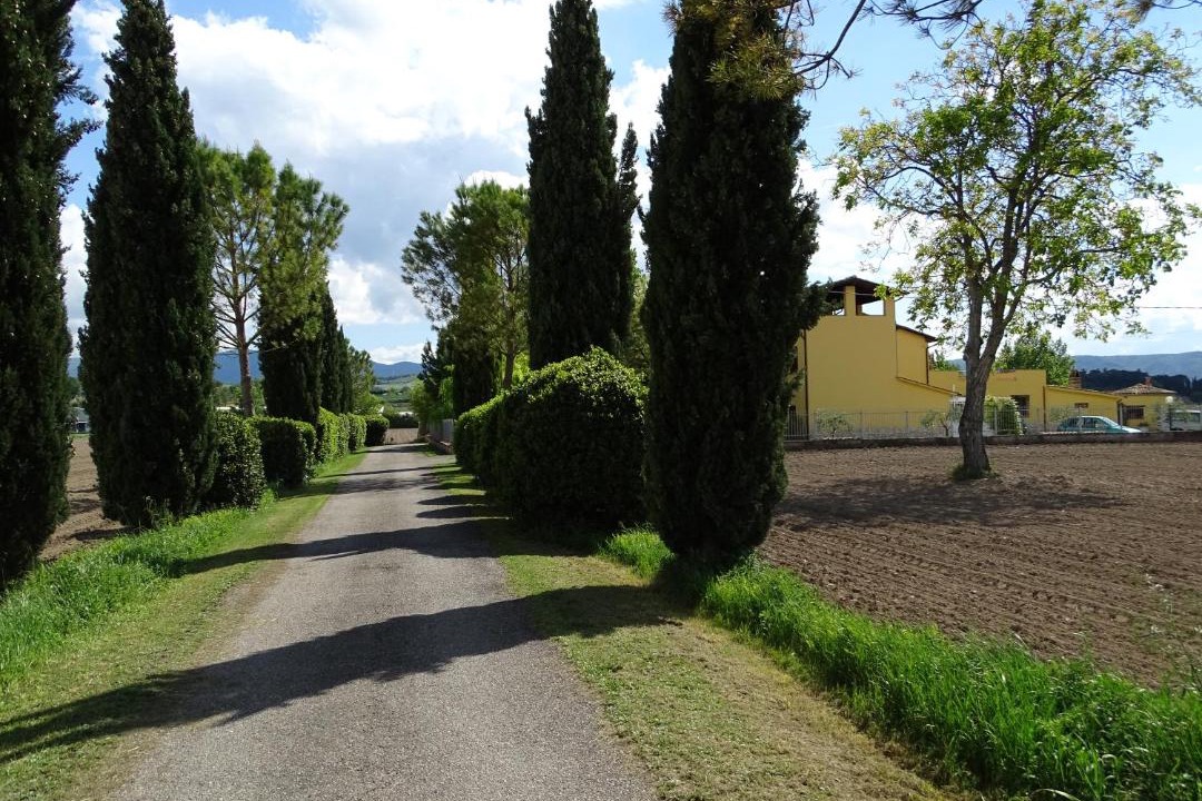 Photo of Others in Narni
