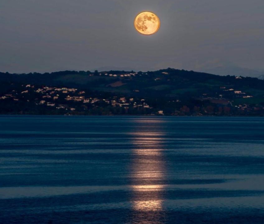 Photo of Others in Lungolago