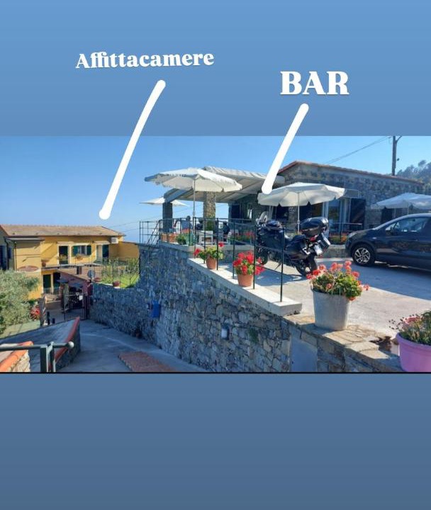 Photo of Others in Vernazza