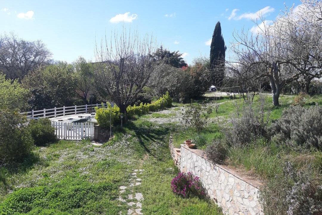 Photo of Others in Formello