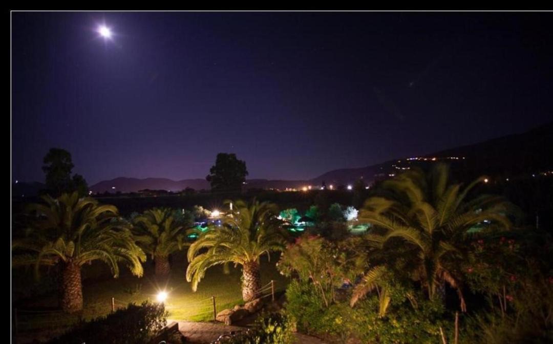 Photo of Others in Bonalaccia-Filetto