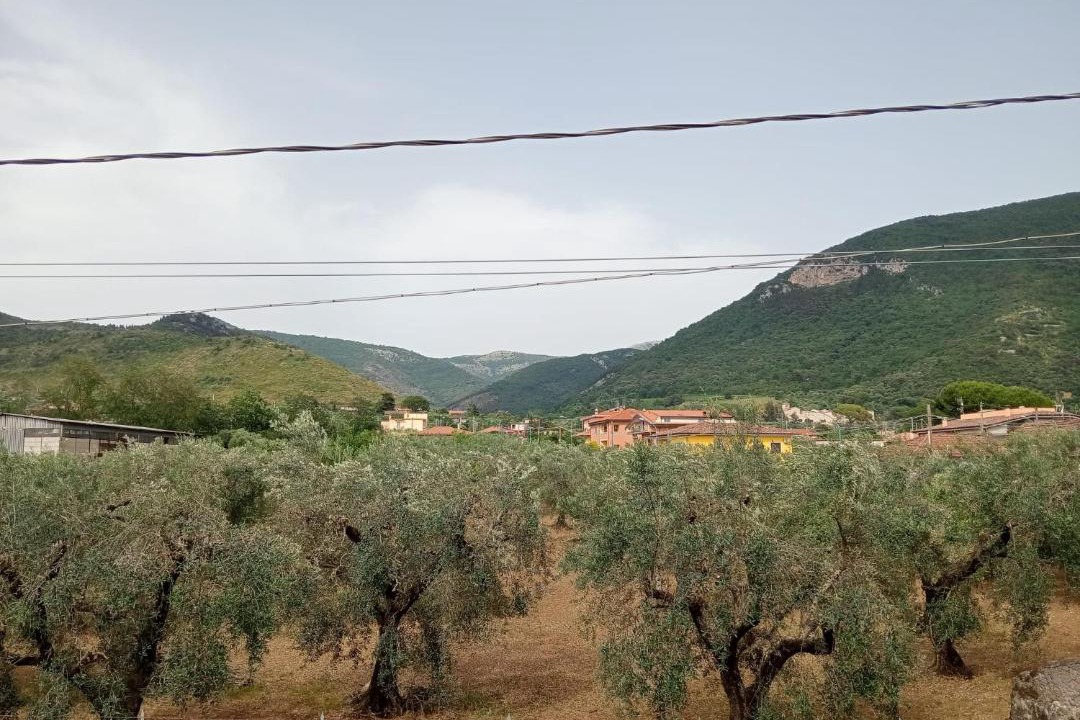 Photo of Others in Sermoneta