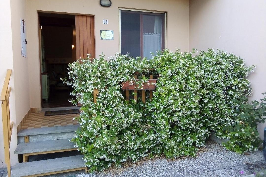 Photo of Others in Citta della Pieve