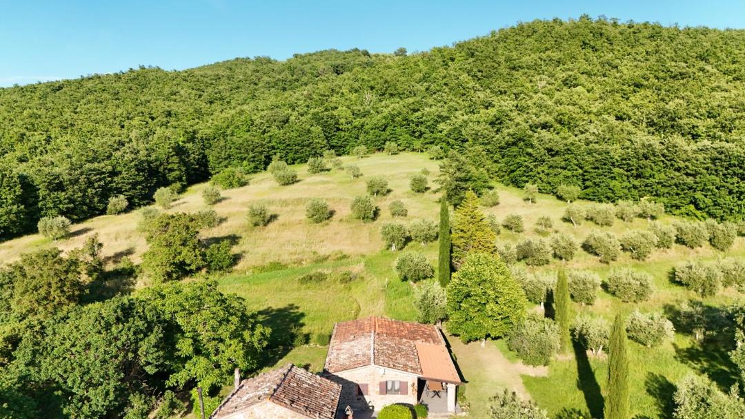 Photo of Others in Lisciano Niccone