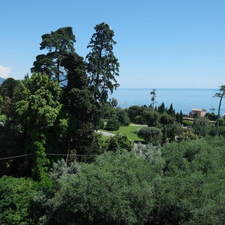 Photo of Others in Nervi
