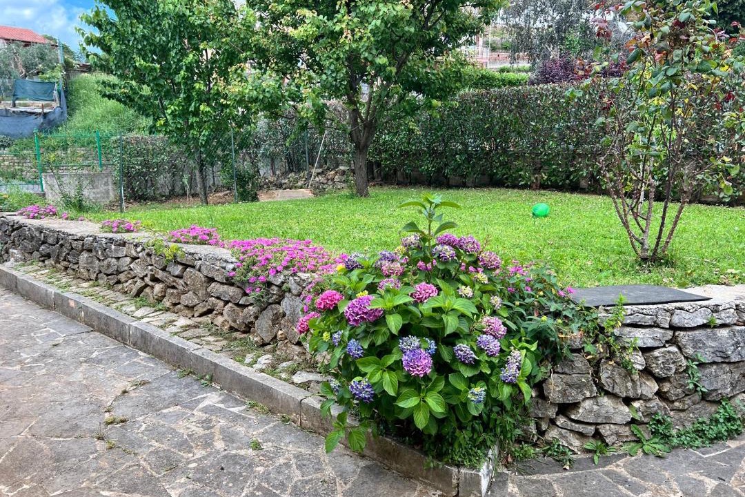 Photo of Others in Palestrina