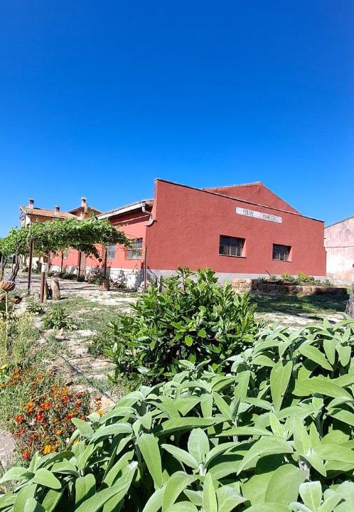 Photo of Others in Tuscania