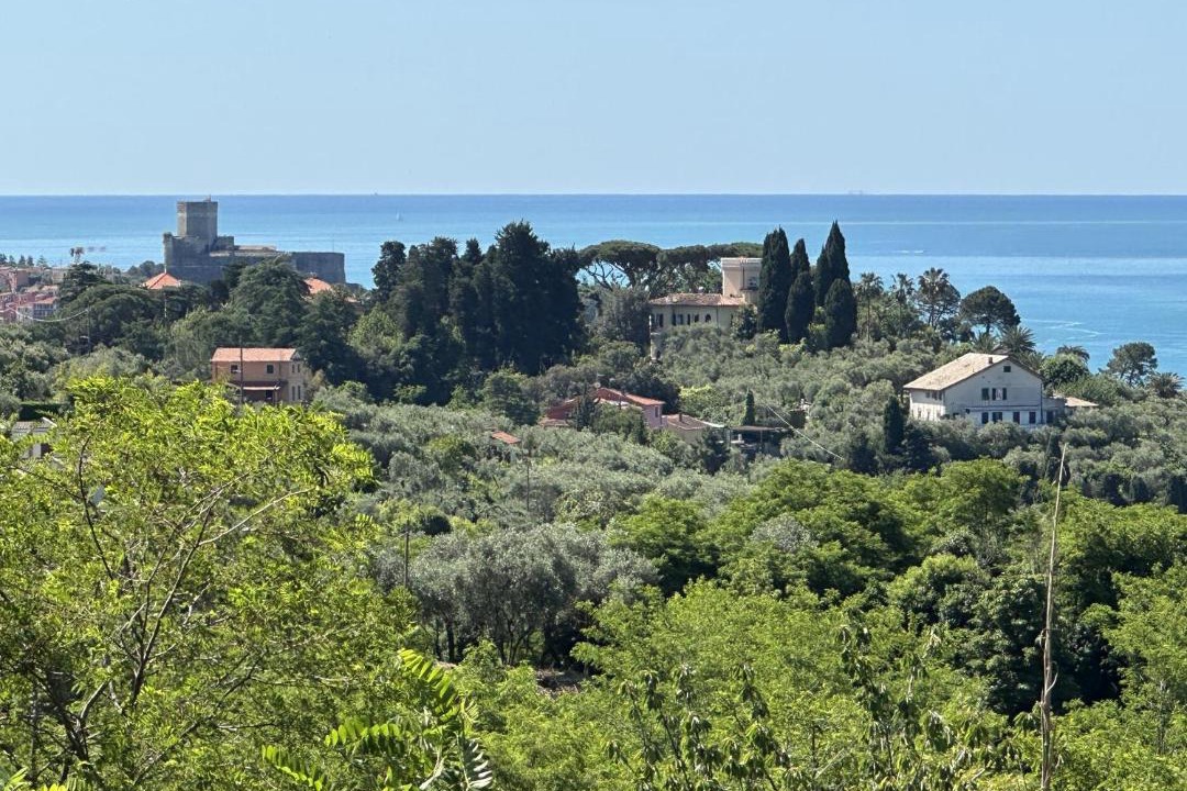 Photo of Others in Lerici
