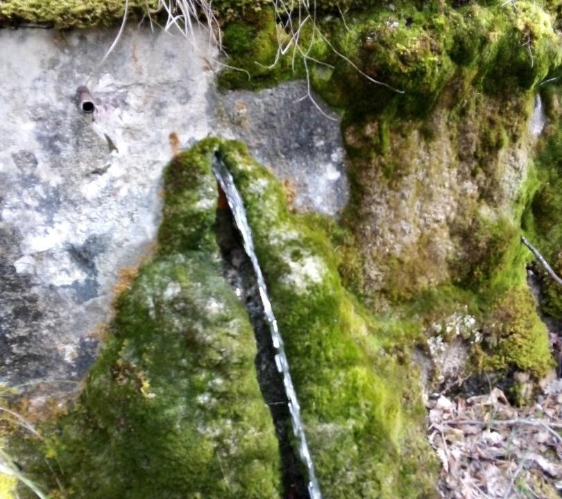 Photo of Others in Nerbisci